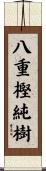 八重樫純樹 Scroll