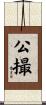 公撮 Scroll