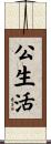 公生活 Scroll