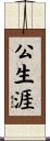 公生涯 Scroll