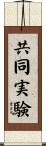 共同実験 Scroll