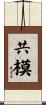 共模 Scroll