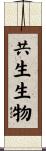 共生生物 Scroll
