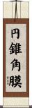 円錐角膜 Scroll
