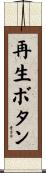 再生ボタン Scroll