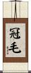 冠毛 Scroll