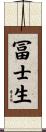 冨士生 Scroll