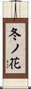 冬ノ花 Scroll