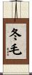 冬毛 Scroll