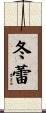冬蕾 Scroll