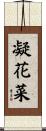 凝花菜 Scroll