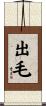 出毛 Scroll