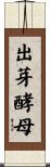 出芽酵母 Scroll