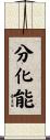 分化能 Scroll