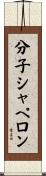 分子シャペロン Scroll