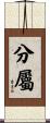 分屬 Scroll