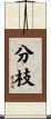 分枝 Scroll