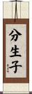 分生子 Scroll