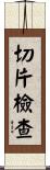 切片檢查 Scroll