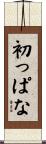 初っぱな Scroll