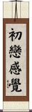 初戀感覺 Scroll