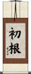 初根 Scroll