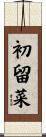 初留菜 Scroll