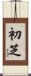 初芝 Scroll