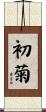 初菊 Scroll