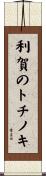 利賀のトチノキ Scroll