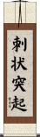 刺状突起 Scroll