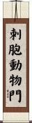 刺胞動物門 Scroll
