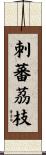 刺蕃茘枝 Scroll