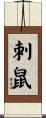 刺鼠 Scroll