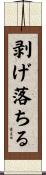 剥げ落ちる Scroll
