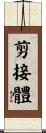 剪接體 Scroll