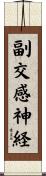 副交感神経 Scroll