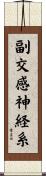 副交感神経系 Scroll