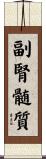 副腎髄質 Scroll