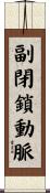 副閉鎖動脈 Scroll