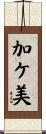 加ケ美 Scroll
