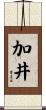 加井 Scroll