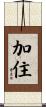加住 Scroll
