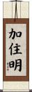 加住明 Scroll