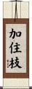 加住枝 Scroll