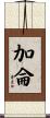 加侖 Scroll