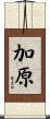 加原 Scroll