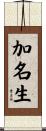 加名生 Scroll