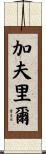 Gavriel Scroll