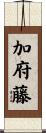 加府藤 Scroll